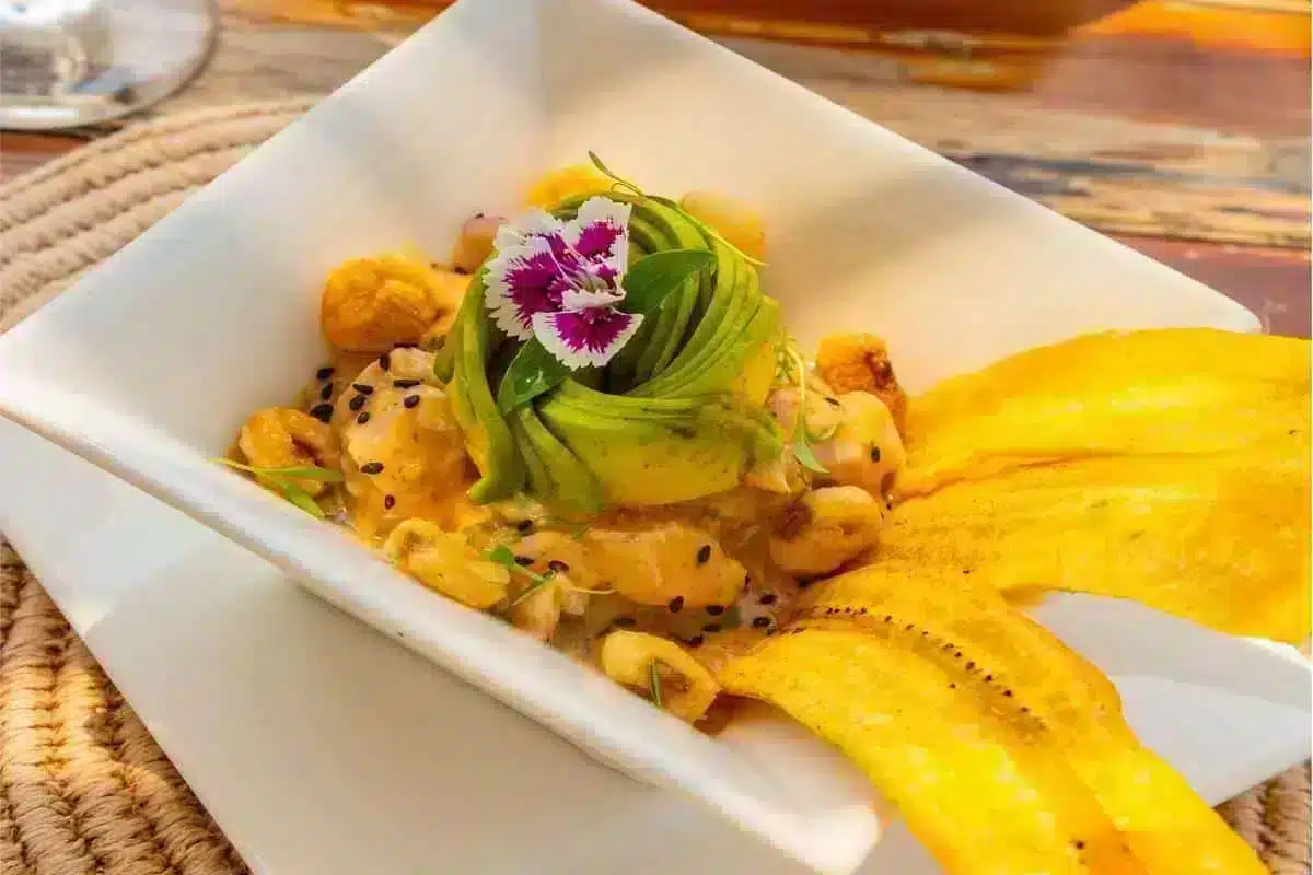 Wala Beach Club Cartagena - Image 20