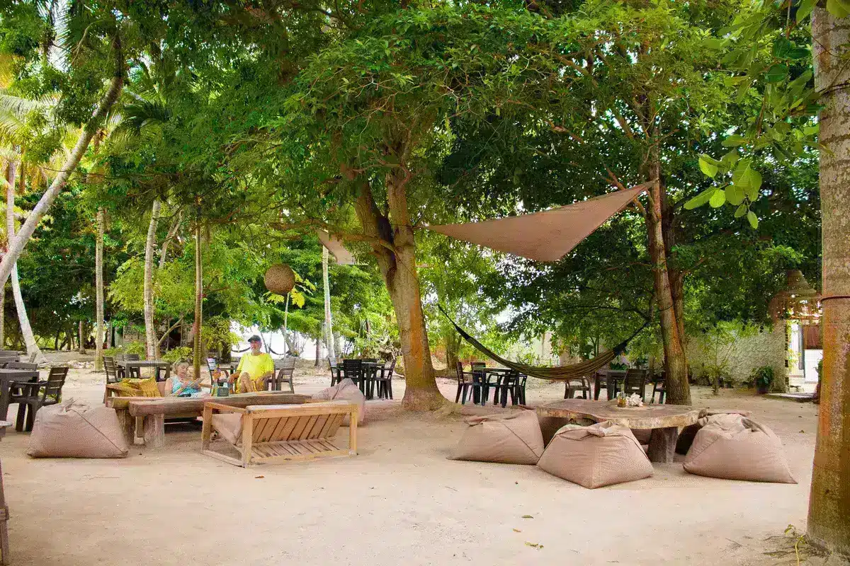 Isla Paue - Image 16