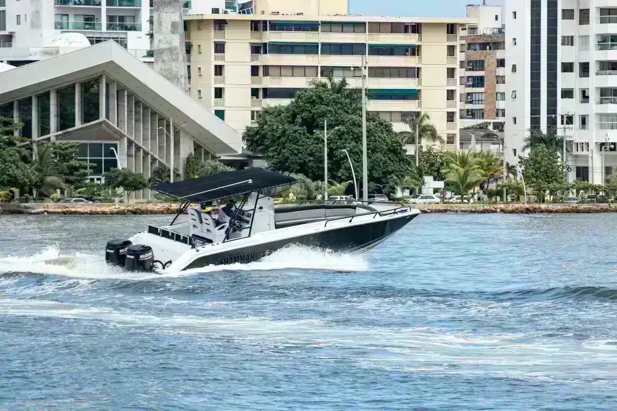 Lancha Shammah - Image 4