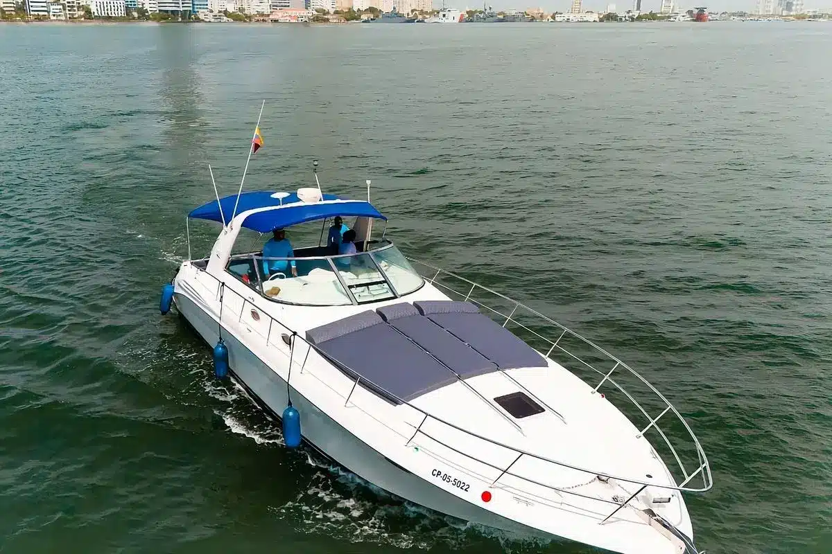 Yate Luz IV - Image 6